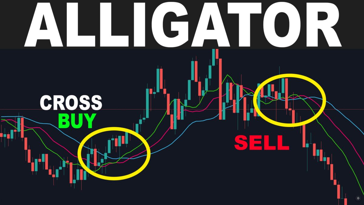 Alligator Indicator Trading Strategy Williams Alligator trading rush ATR stop loss 8