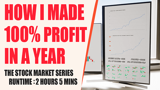 How I Made 100% Profit In A Year - Stock Market Series